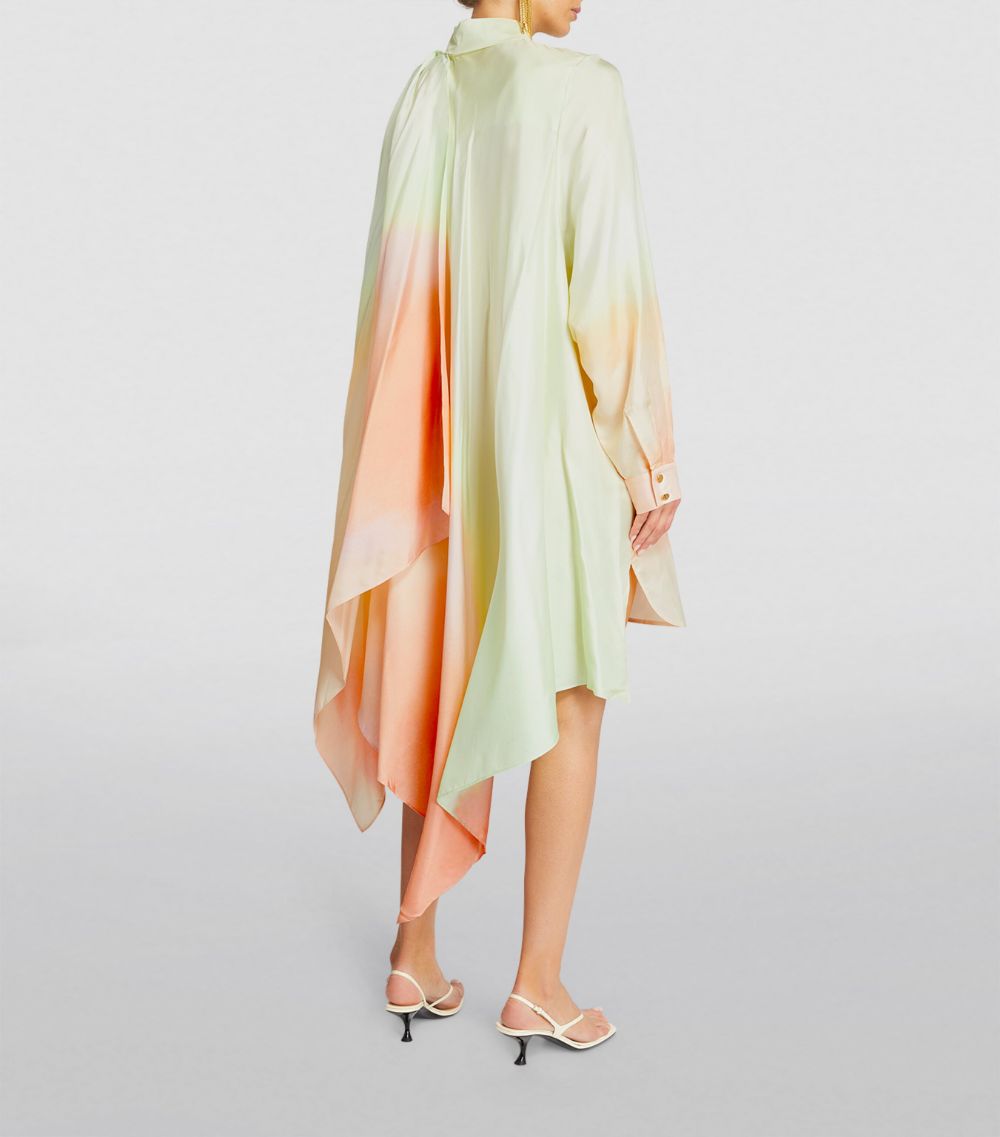 Silk Shirt Dress