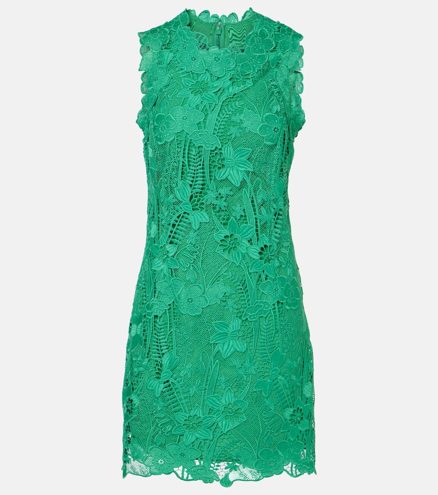 Floral lace minidress