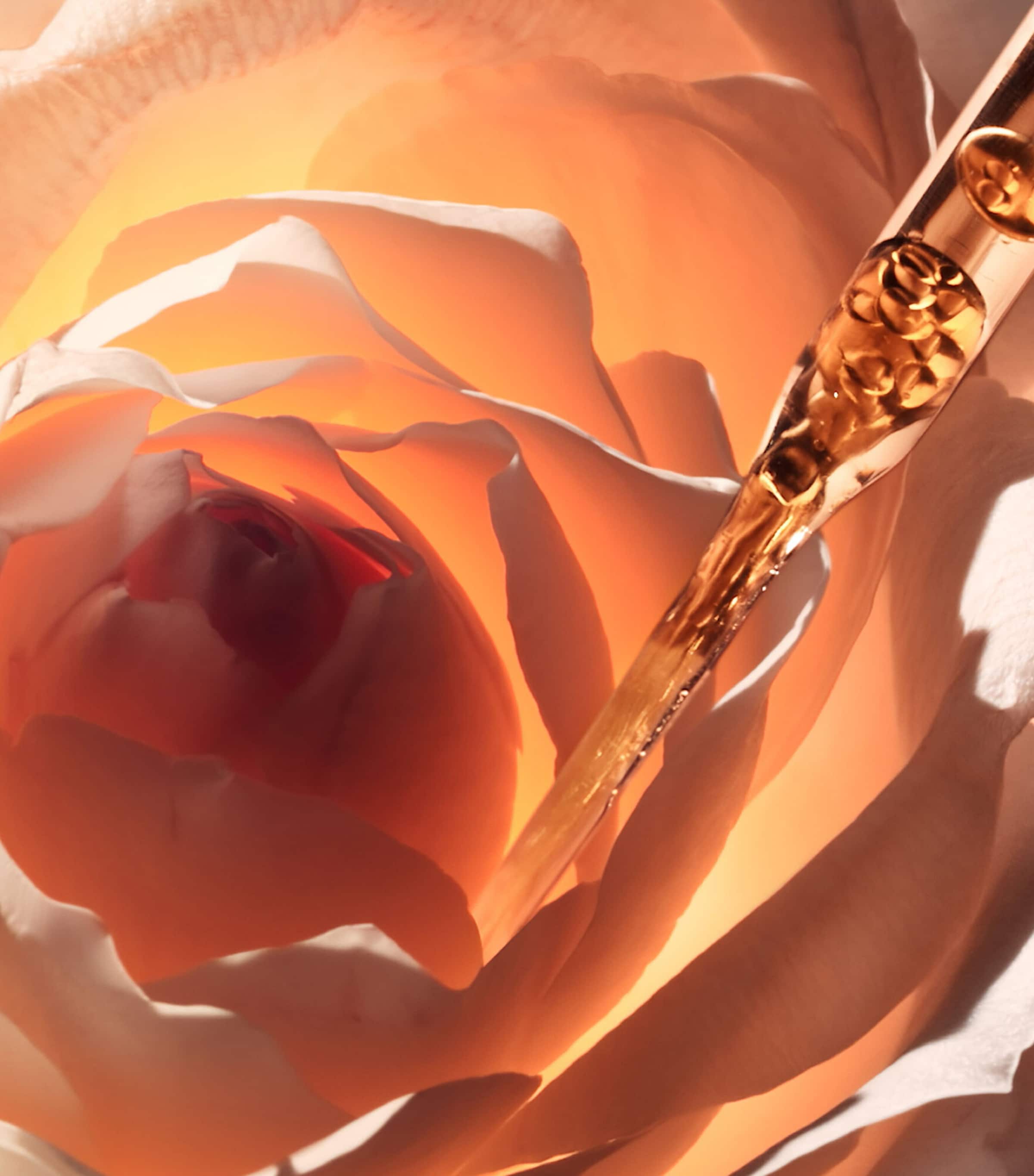 Prestige La Micro-Huile de Rose Activated Serum