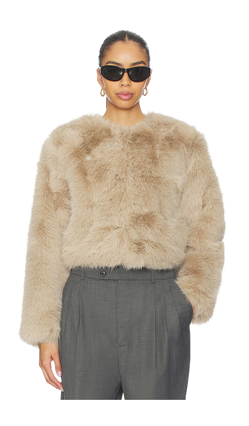 BLANKNYC Crop Faux Fur Coat in Cash Flow. XS also in L