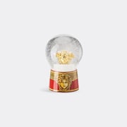 'medusa Amplified' Snow Sphere, Golden Coin
