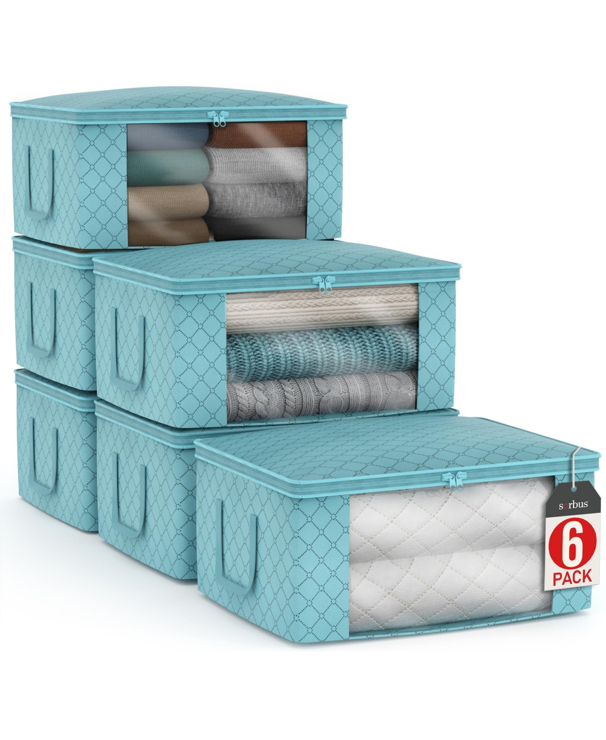 6 Pack Medium Foldable Clothes Storage Bags with Clear Window, Zipper Lid and Carry Handles - for Organizing Bedroom, Closet, Home (Aqua) - Aqu