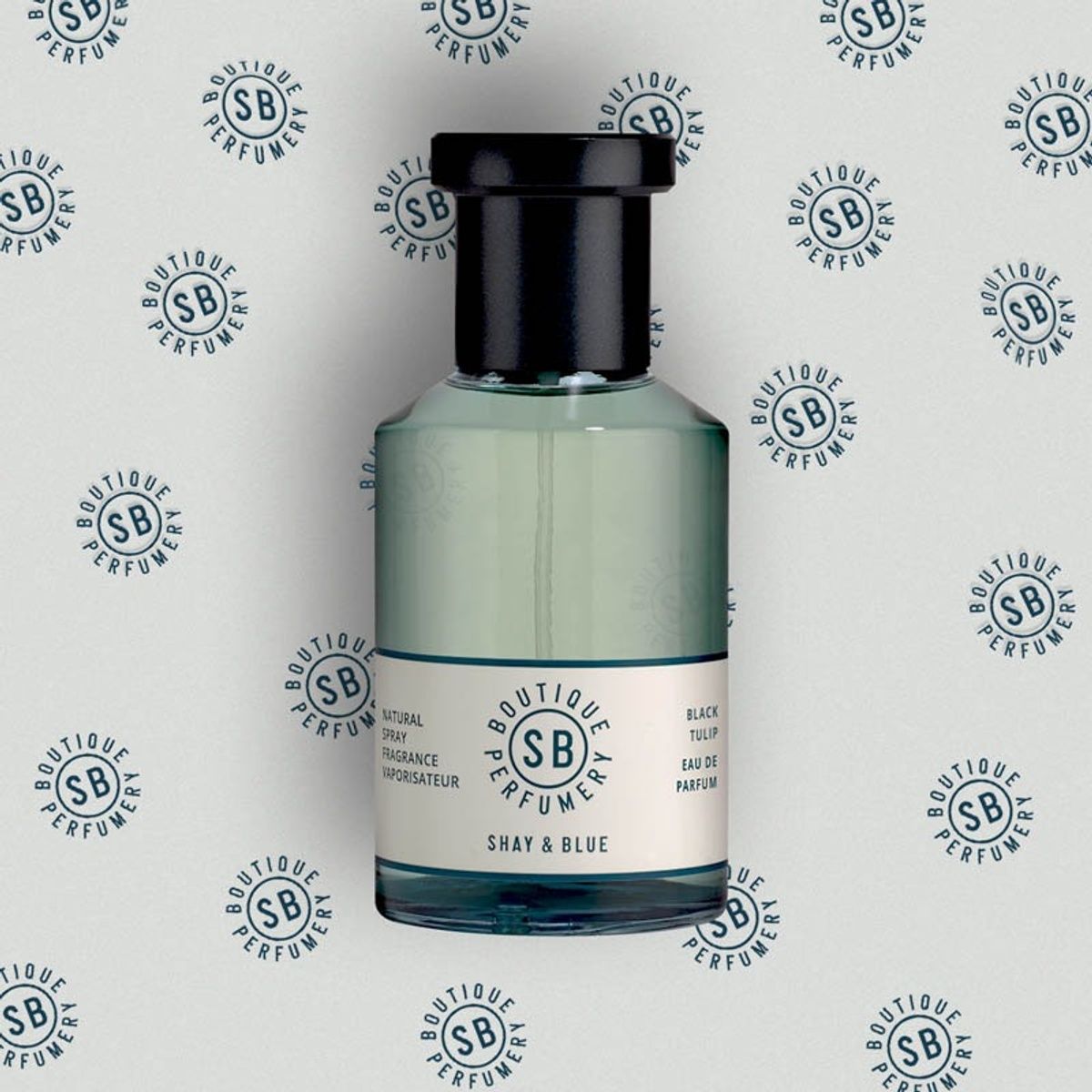 Shay and Blue Black Tulip Fragrance 100ml in Clear