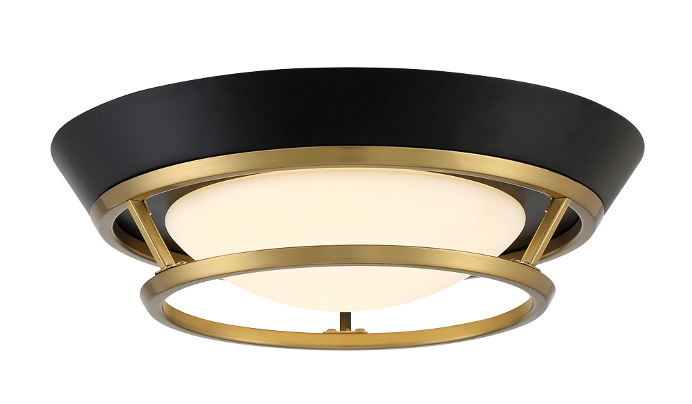 Coal And Satin Brass LED Flush Mount from the Beam Me Up Collection