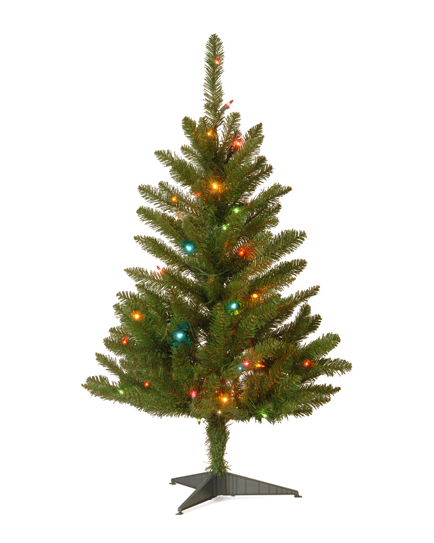 3' Kingswood Fir Wrapped Pencil Tree With 50 Multi Lights