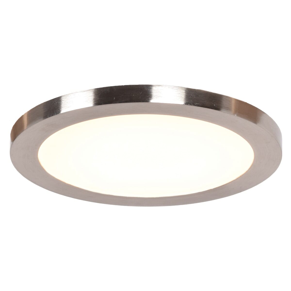Access Disc Ceiling Light in Brushed Stee