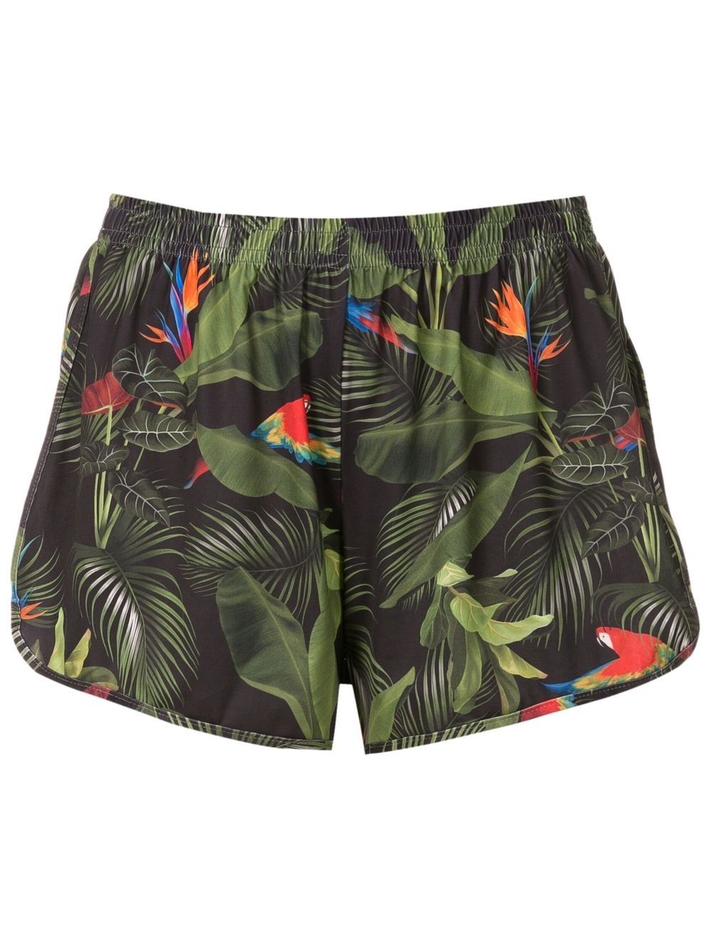 Lee botanical-print shorts - Green