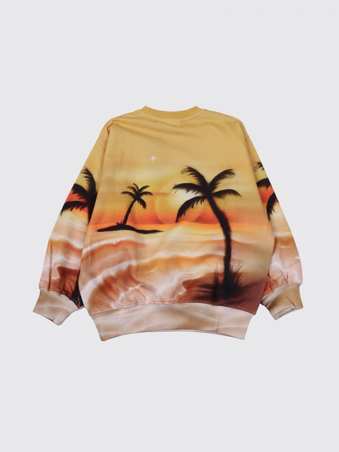 Sweatshirt Woman color Multicolor