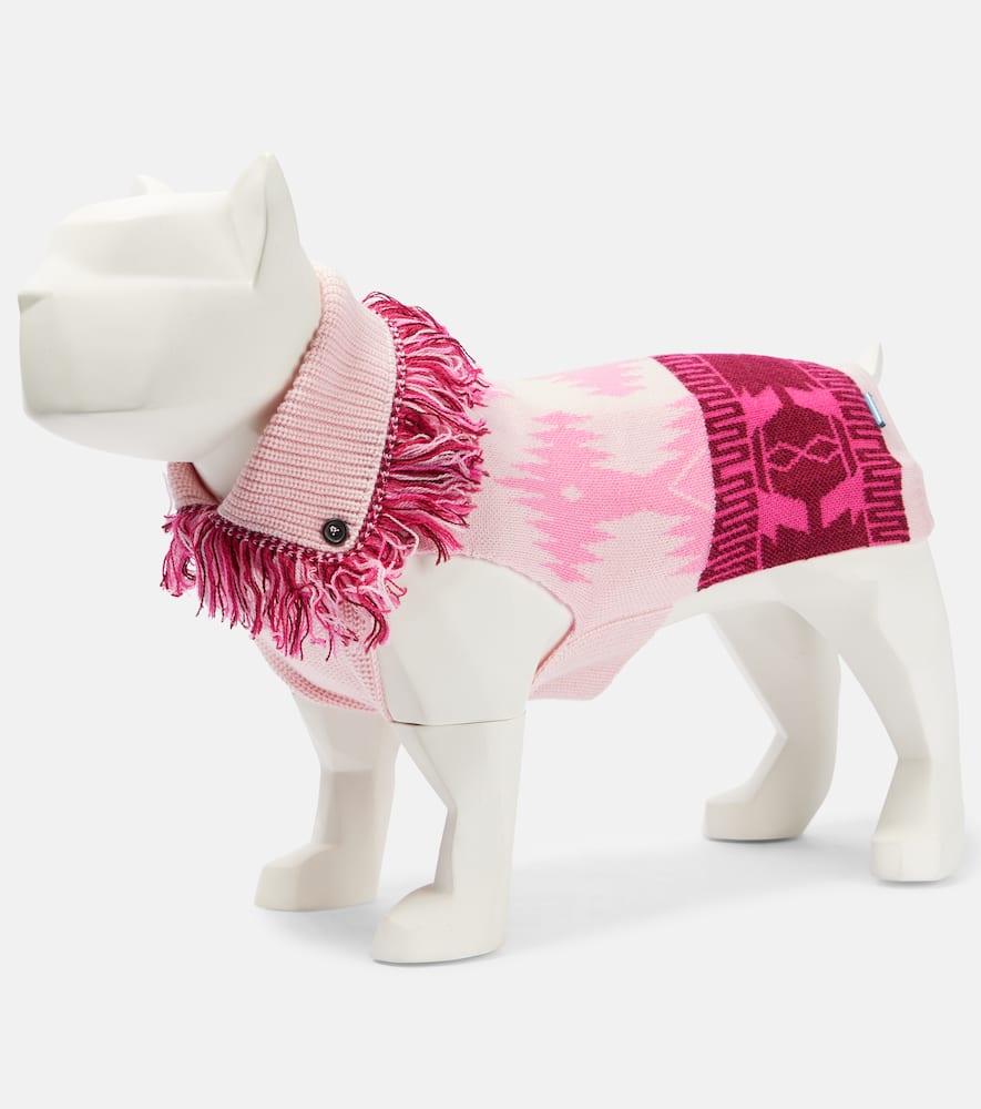 X Poldo Dog Couture dog sweater