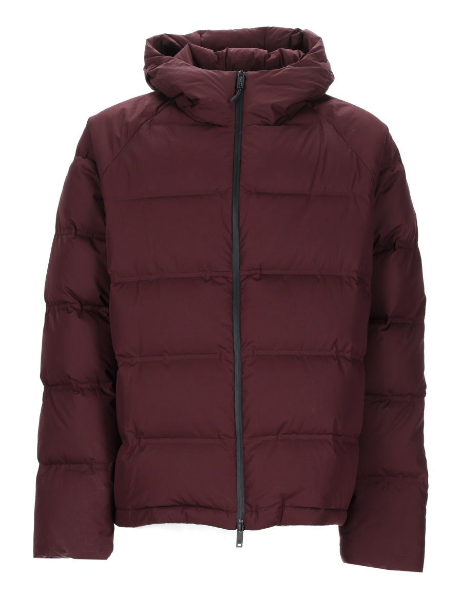 Men's Mini Sports Jacket