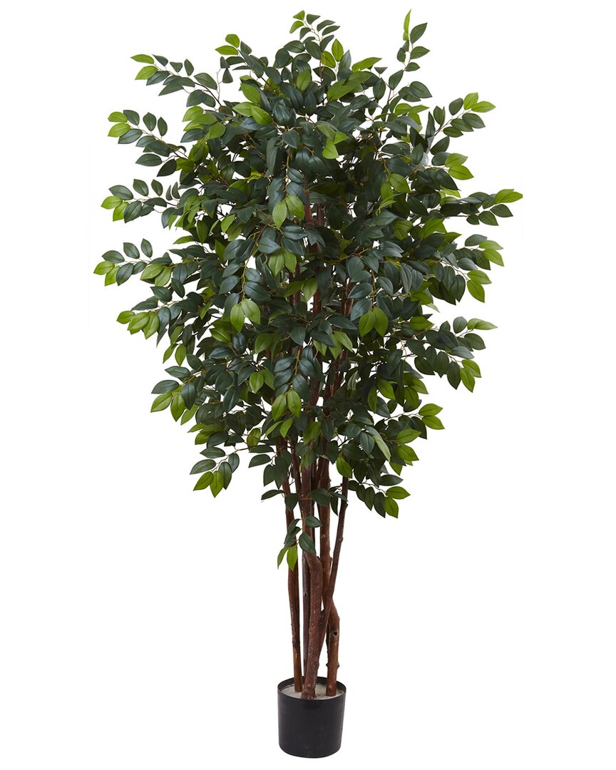 7Ft Sakaki Silk Tree
