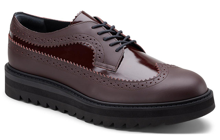 Brogue 'Burgundy'