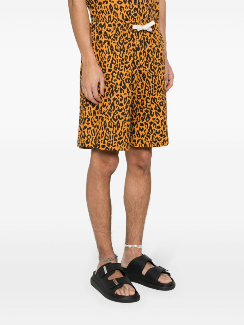 Leopard-print poplin shorts - Orange