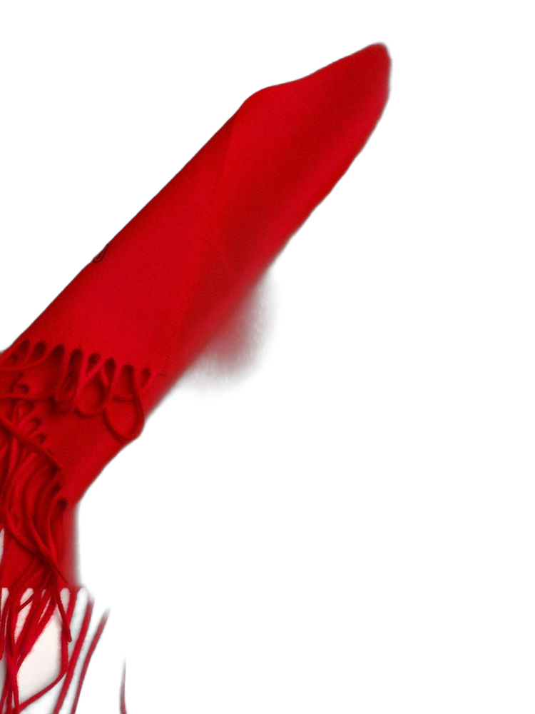 Lambswool Scarf — Red