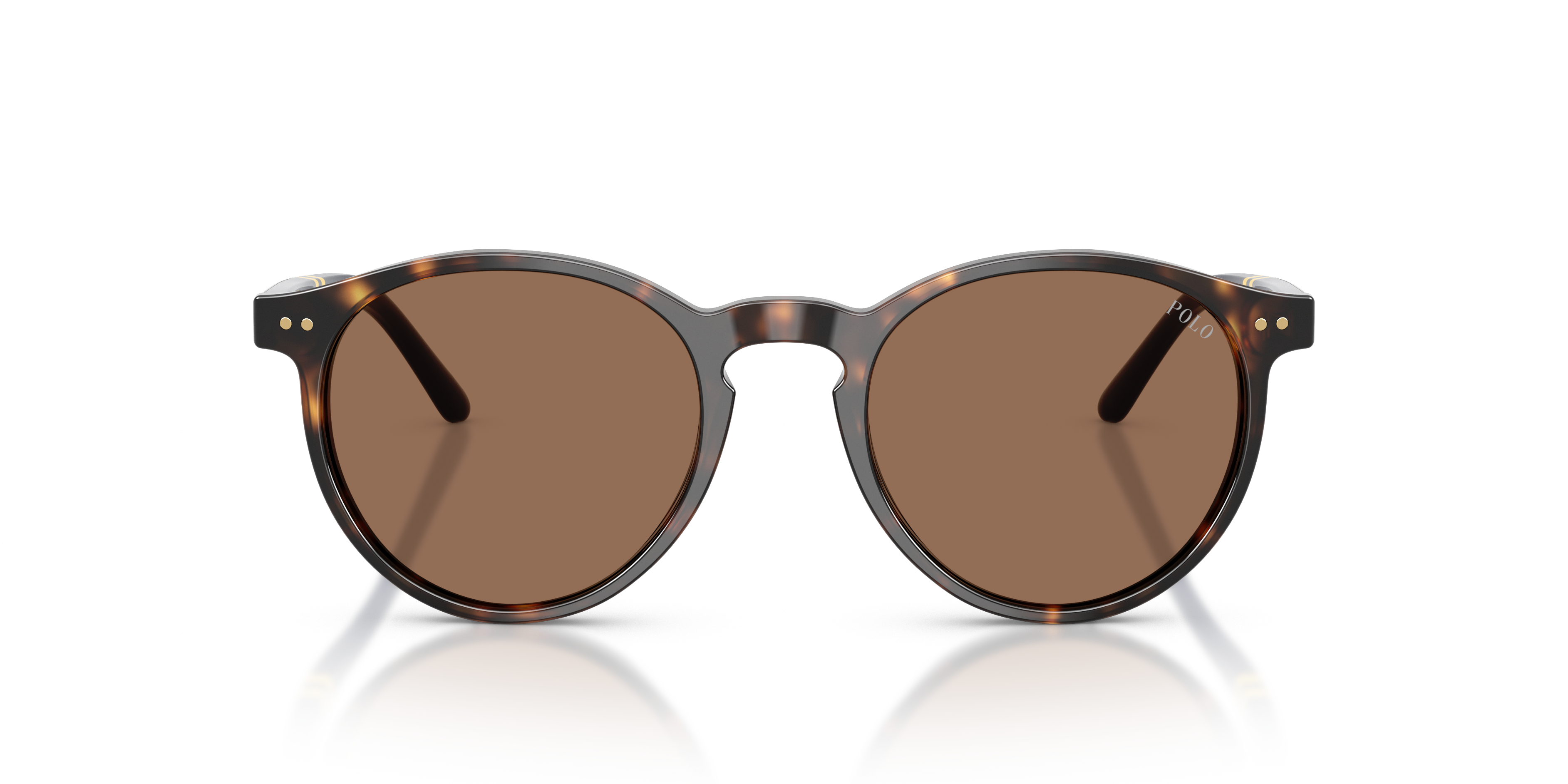 Polo Ralph Lauren Man Polo Ralph Lauren PH4236 500373 Sunglasses Acetate Turtle Brown Round Norma