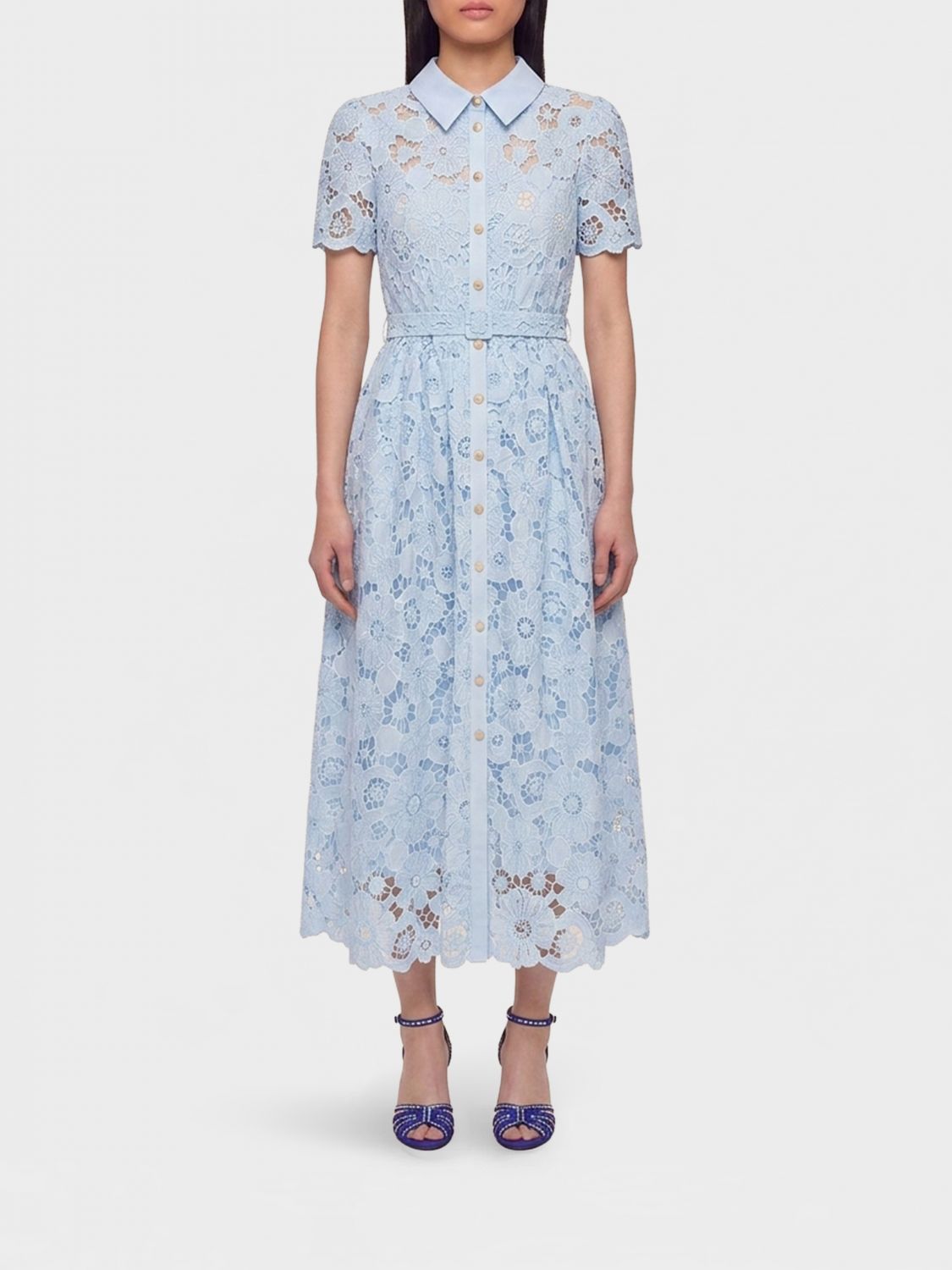 Lace Collared Midi Dress