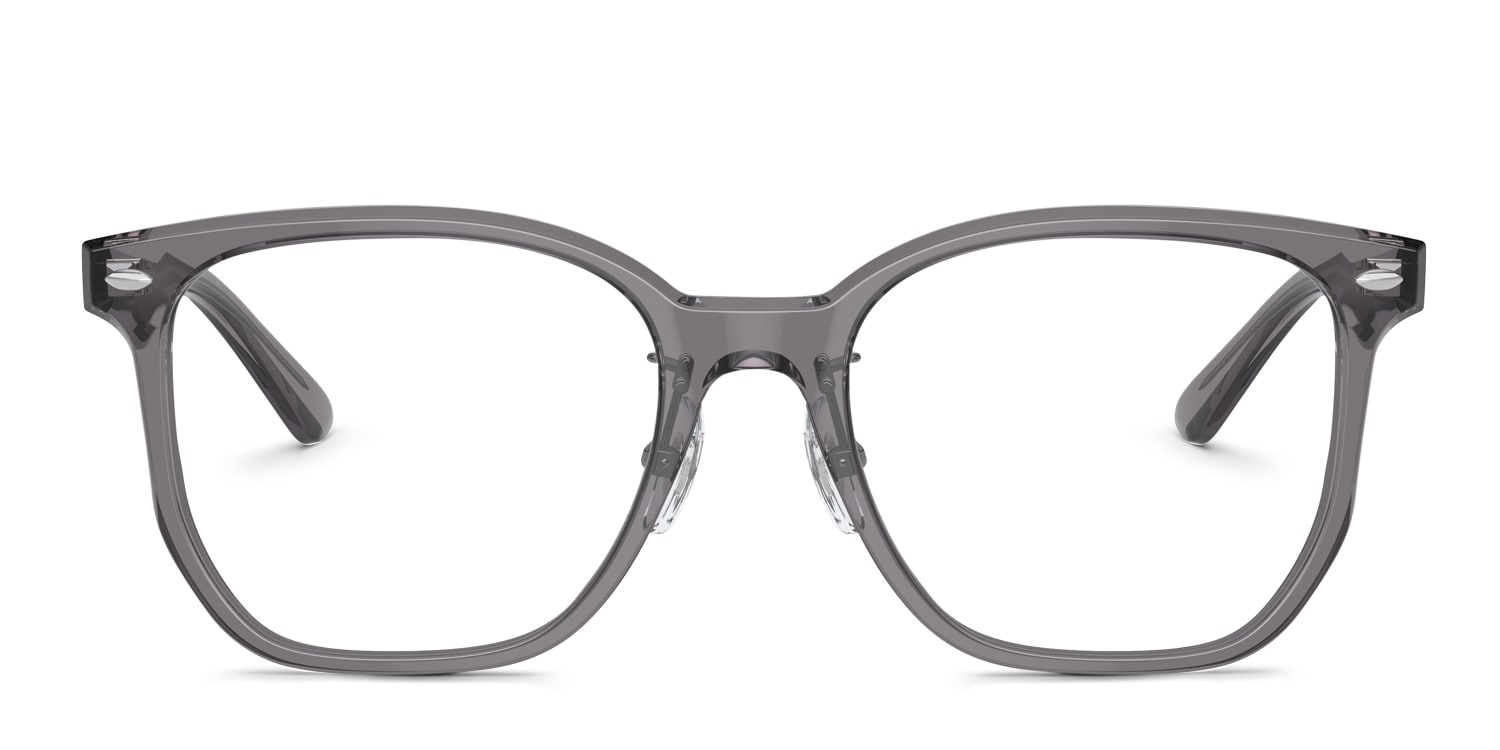 RX5425D Year Of The Snake Edition Gray/Clear