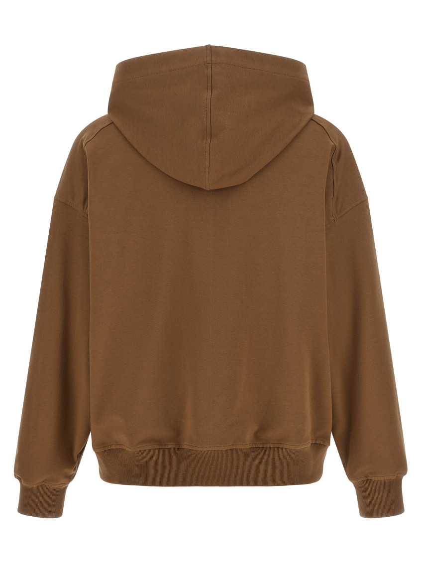 Brown Solid Hood Sweatshirt