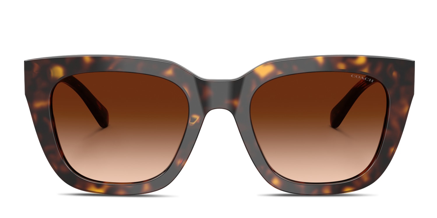HC8318 Tortoise,Brown