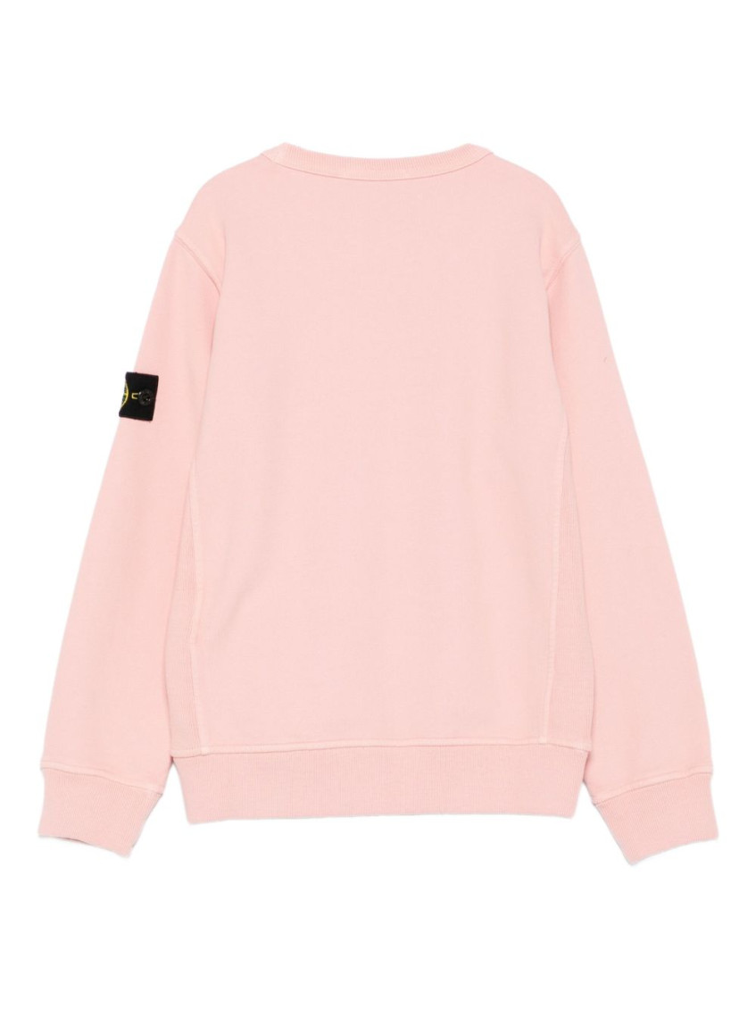 Boys Pink Crew Neck Sweatshirt