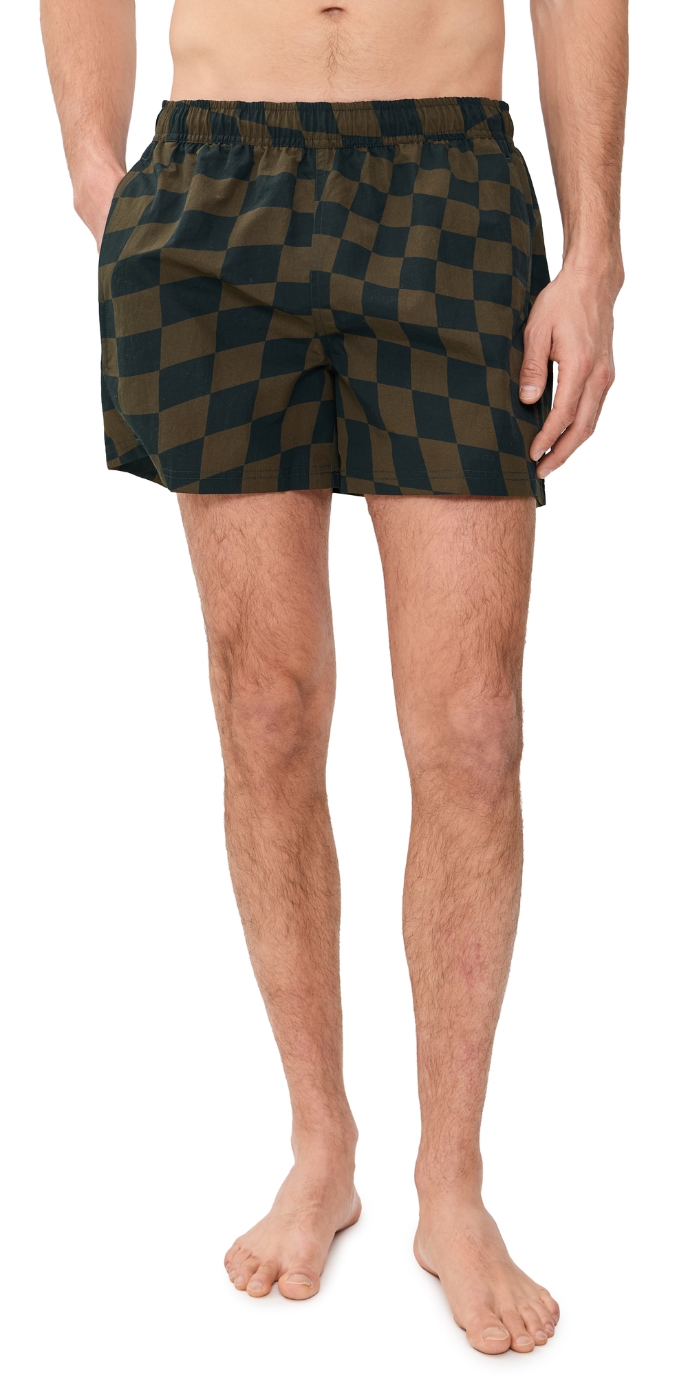 Printed Sebastian Swim Trunks