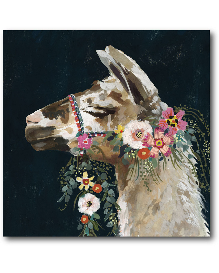Lovely Llama II