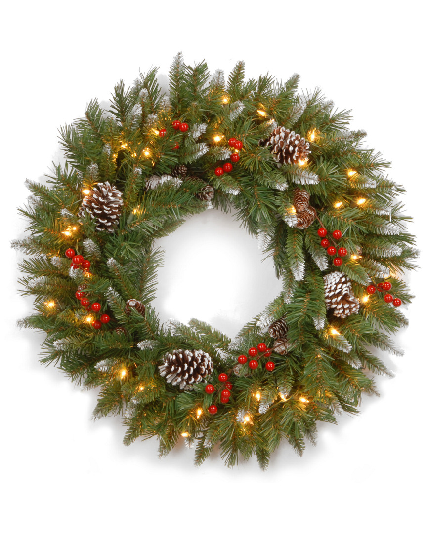 National Tree Company 24in Frosted Berry Wreath with 50 Clear Lights
