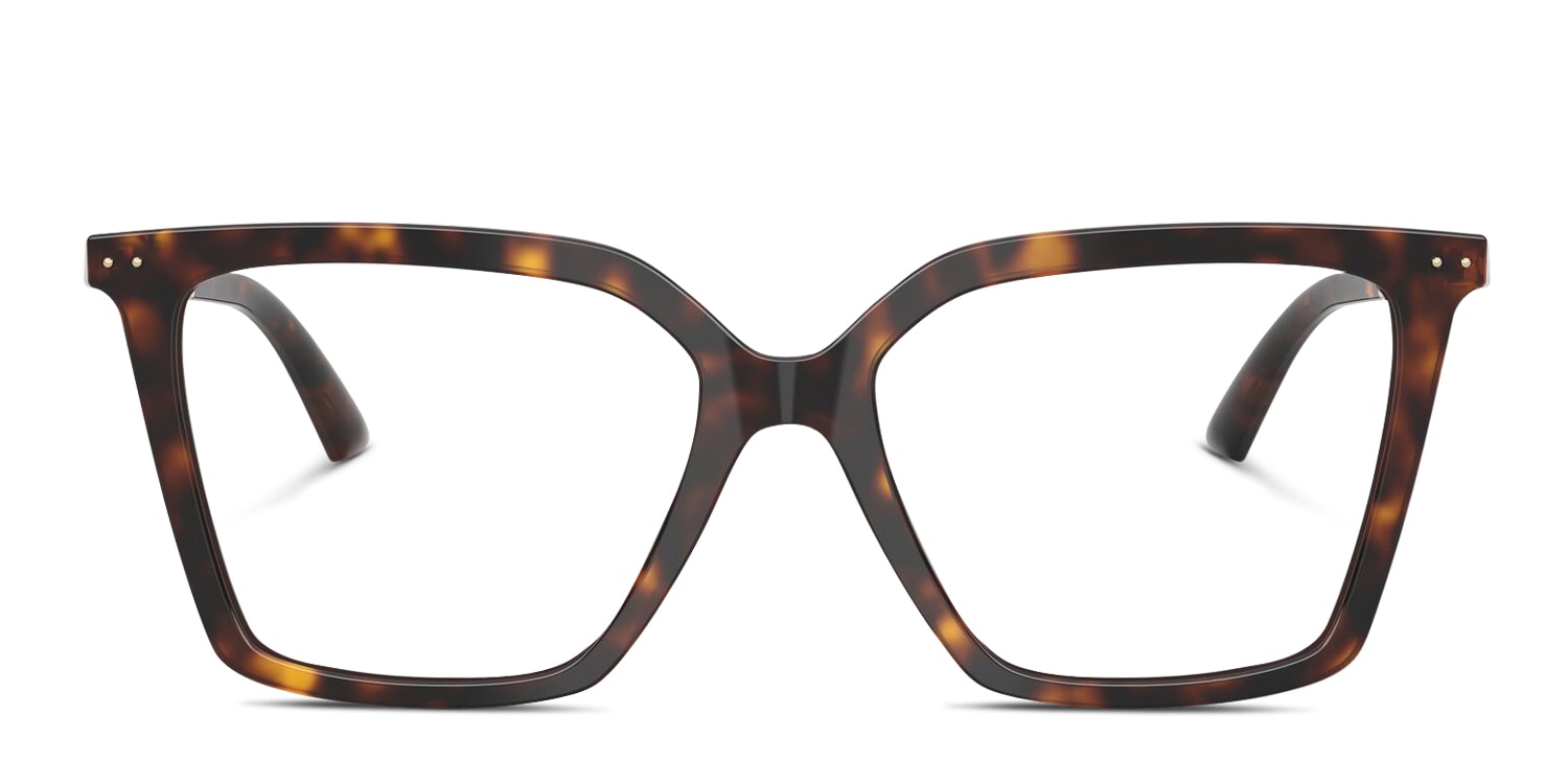 JC3054U Tortoise