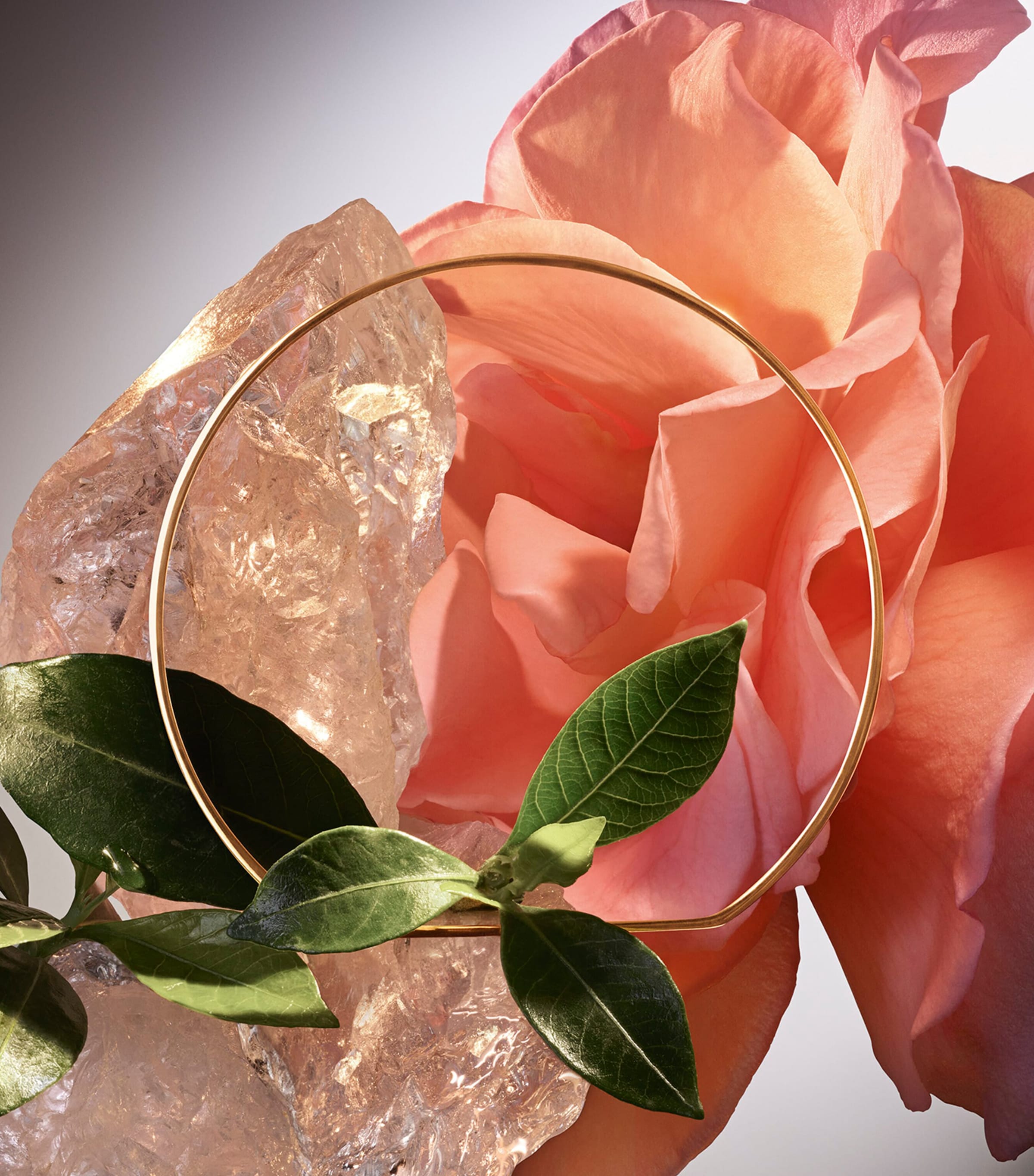 Absolue Le Parfum Eau de Parfum