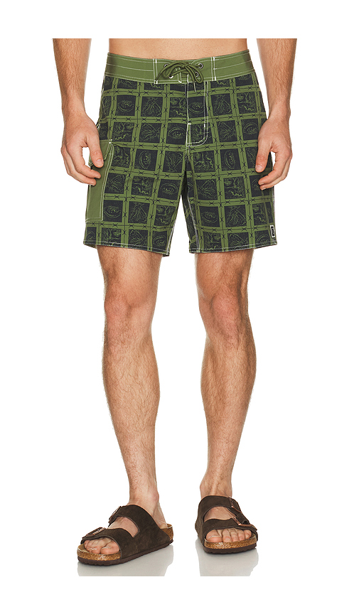 Brixton Classic 17 Swim Trunk in Olive. 31. Also , 32, 33