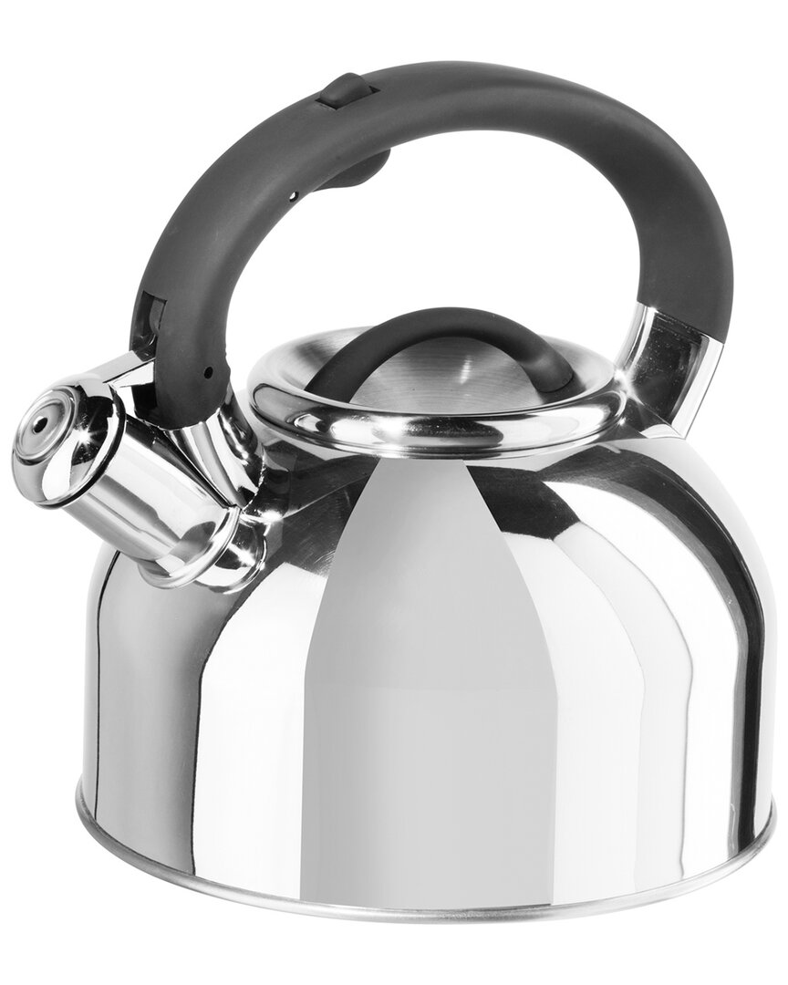 Stainless Steel 1.9L Whistling Tea Kettle
