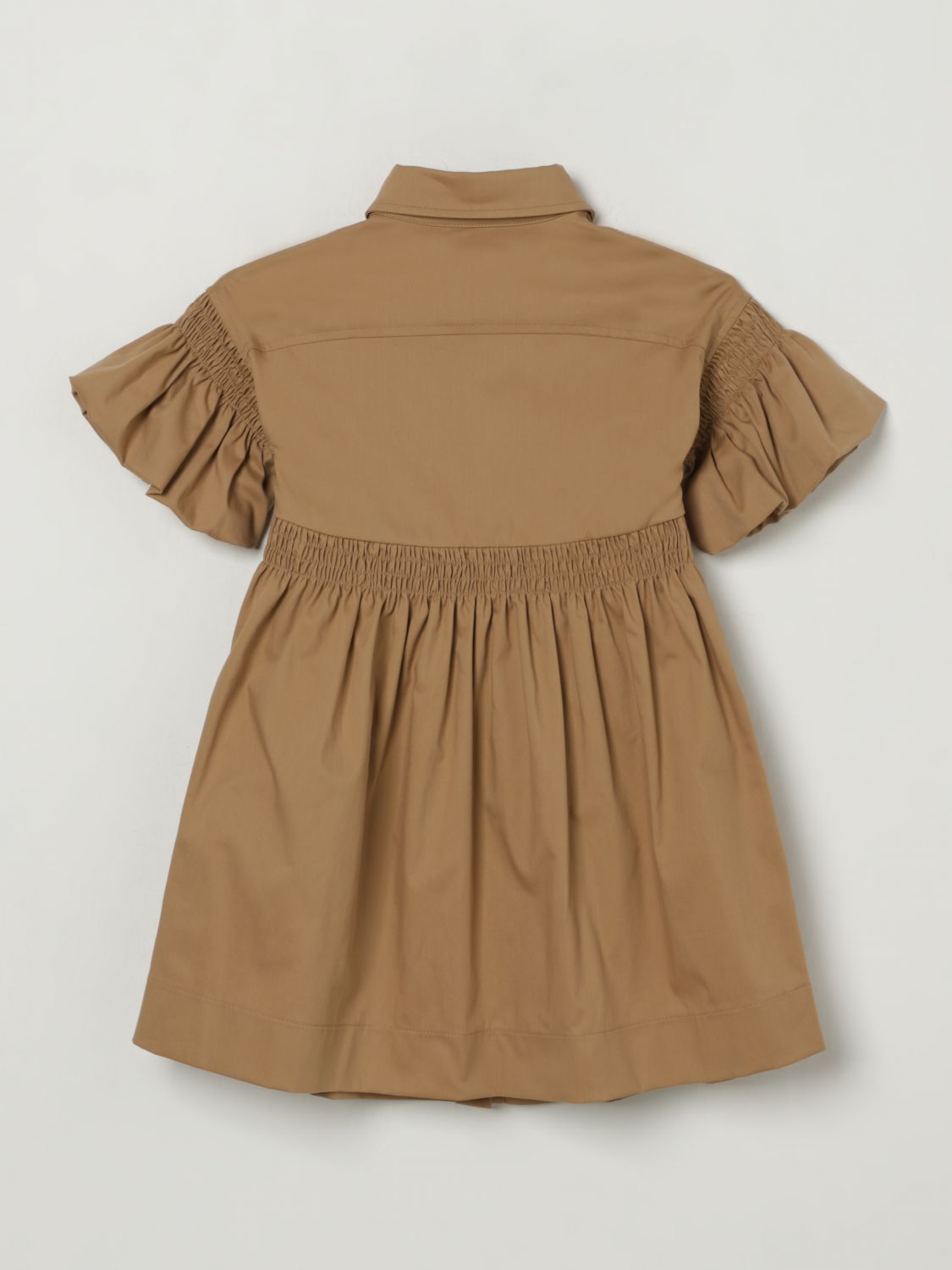 Shirred-panel dress - Brown
