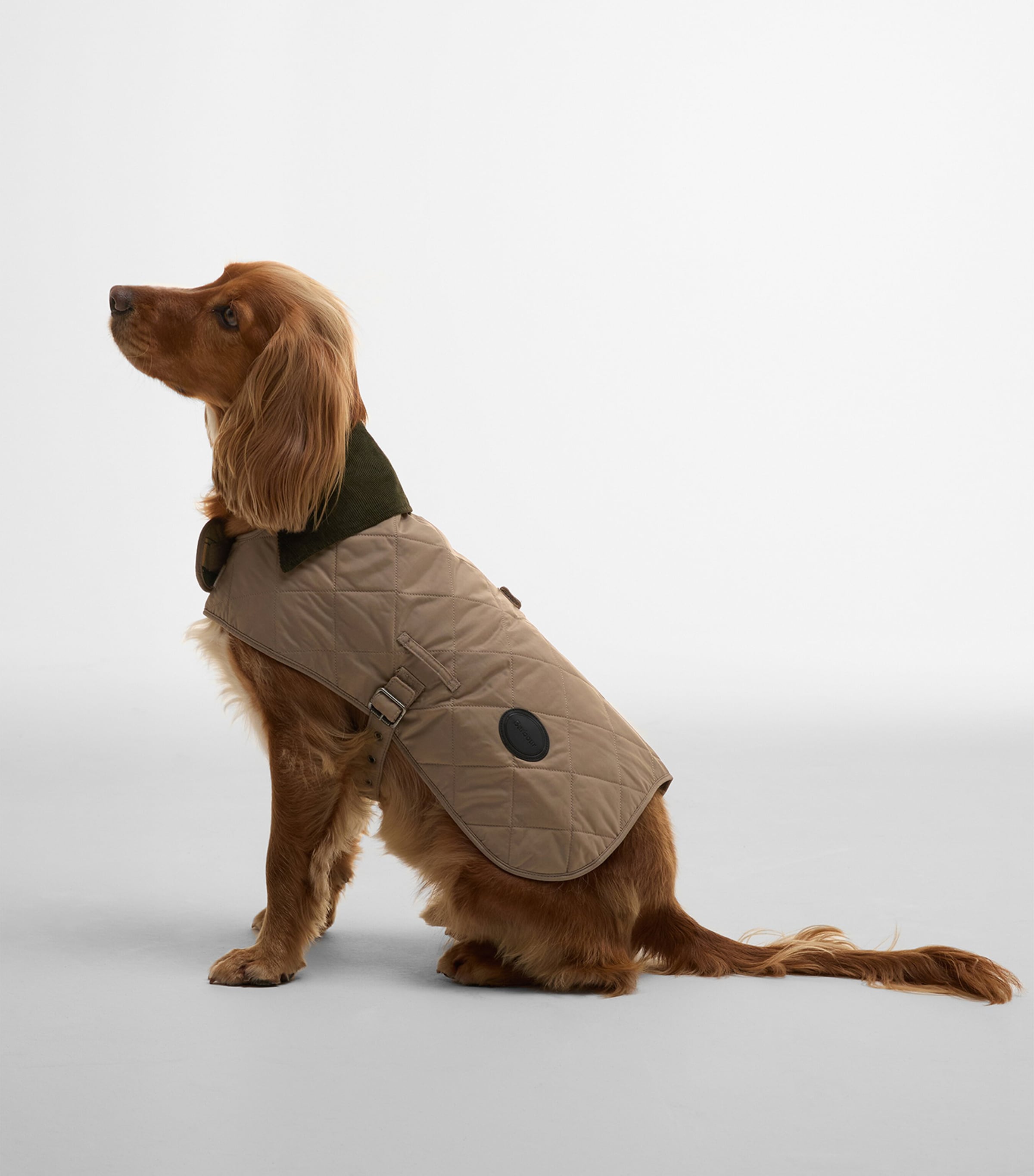 Quilted Dog Coat