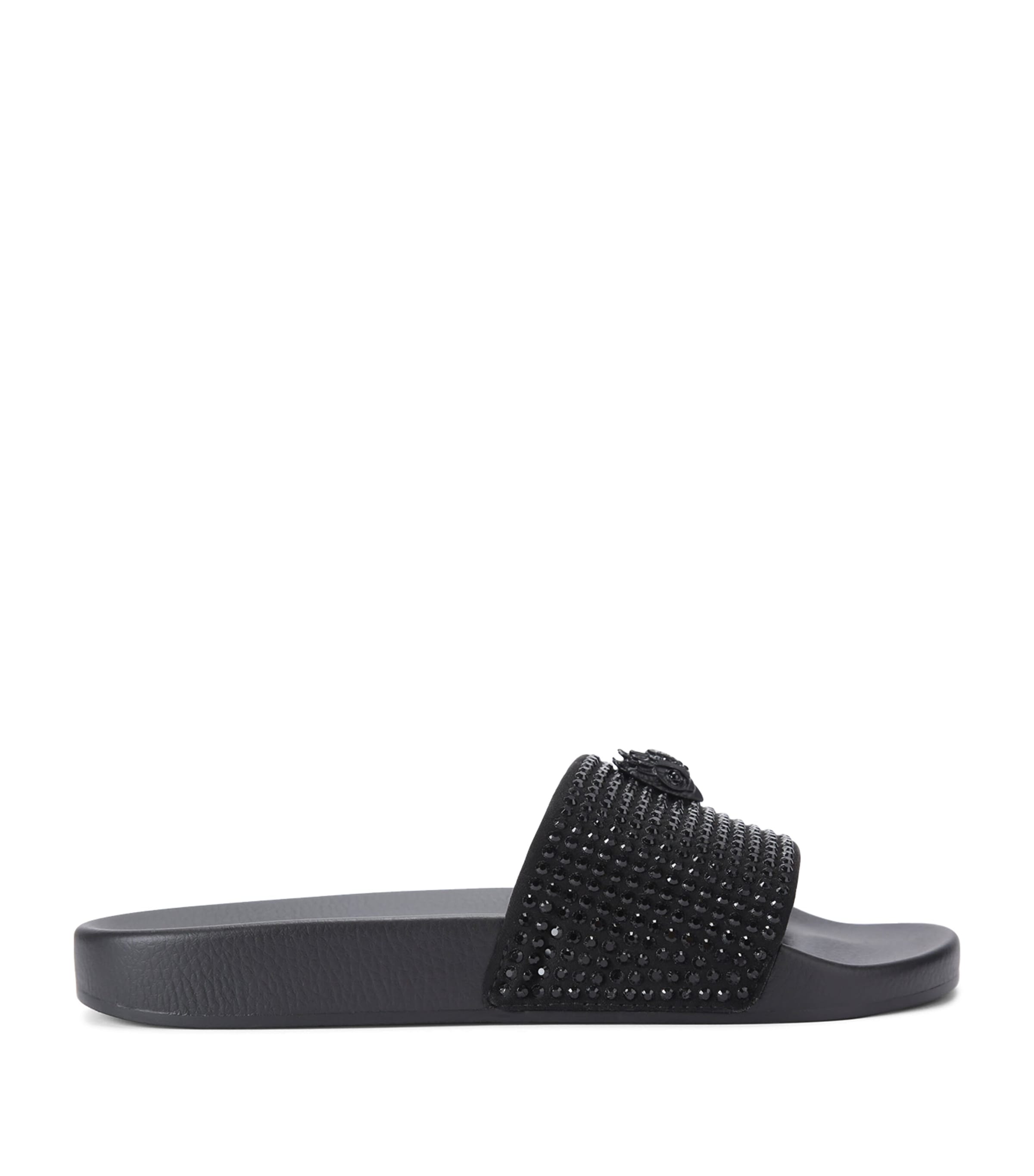 Meena Eagle Slides