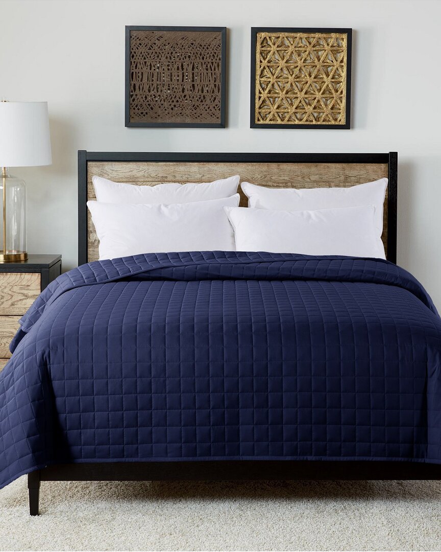 Velvet Trim Down Alt Blanket