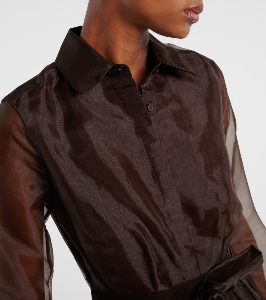 Montgomery organza shirt dress