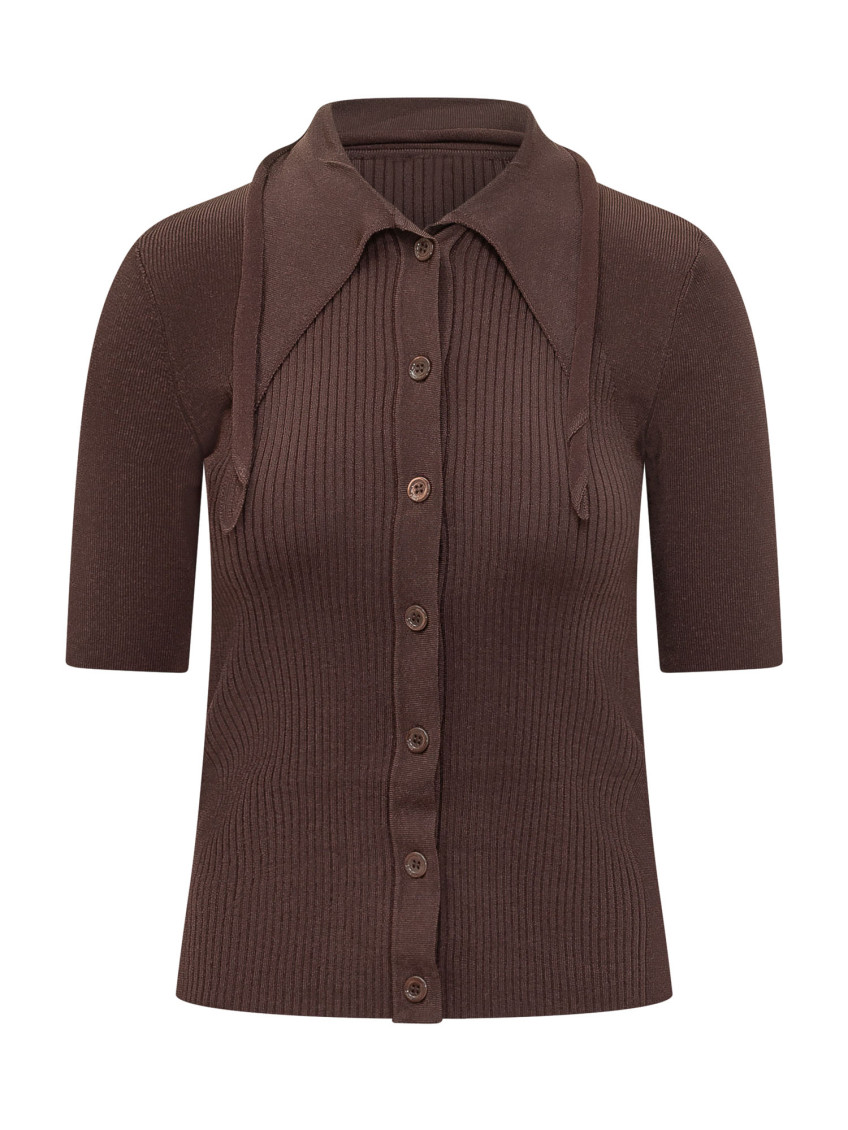 Brown Solid Shirt Collar Polo