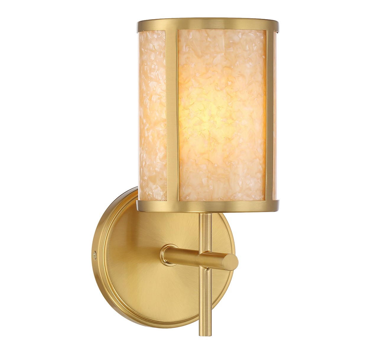 Camden 1-Light Wall Sconce in Warm Bra