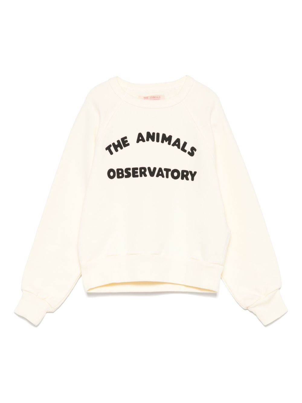 The Animals Observatory Love Shark sweatshirt - Green