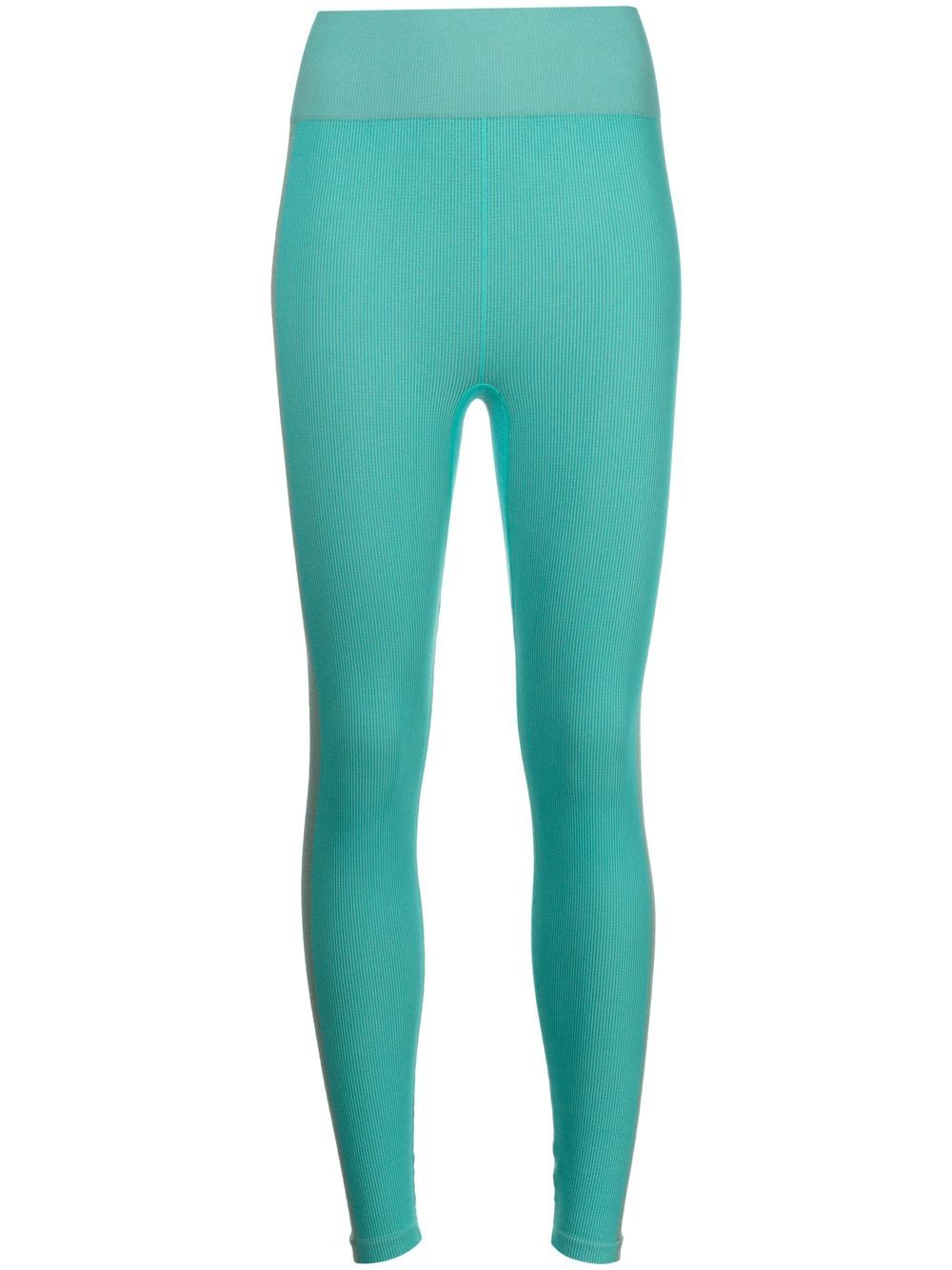 Seamless ribbed leggings - Green