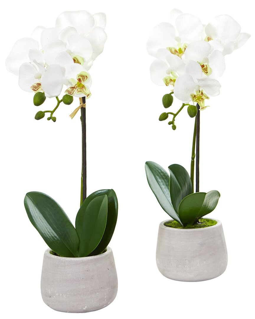 Set Of 2 Phalaenopsis Orchid Artificial Arrangements