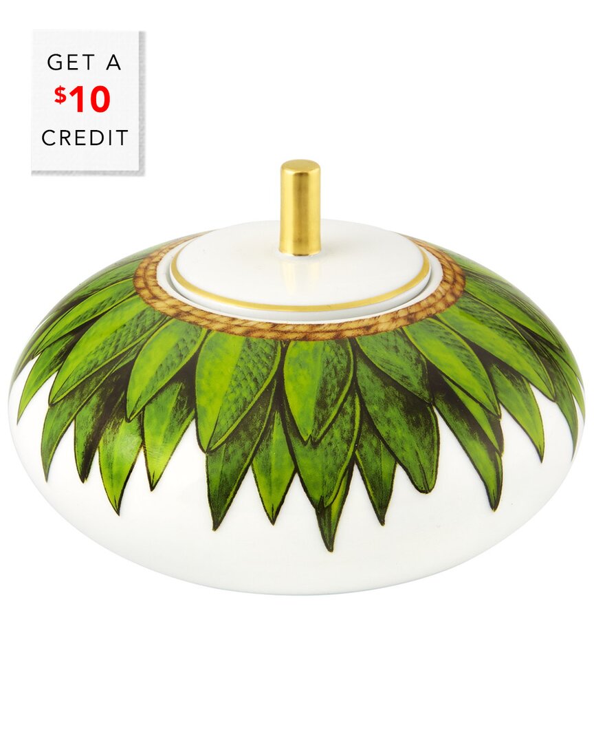 Amazonia Sugar Box with $10 Credit