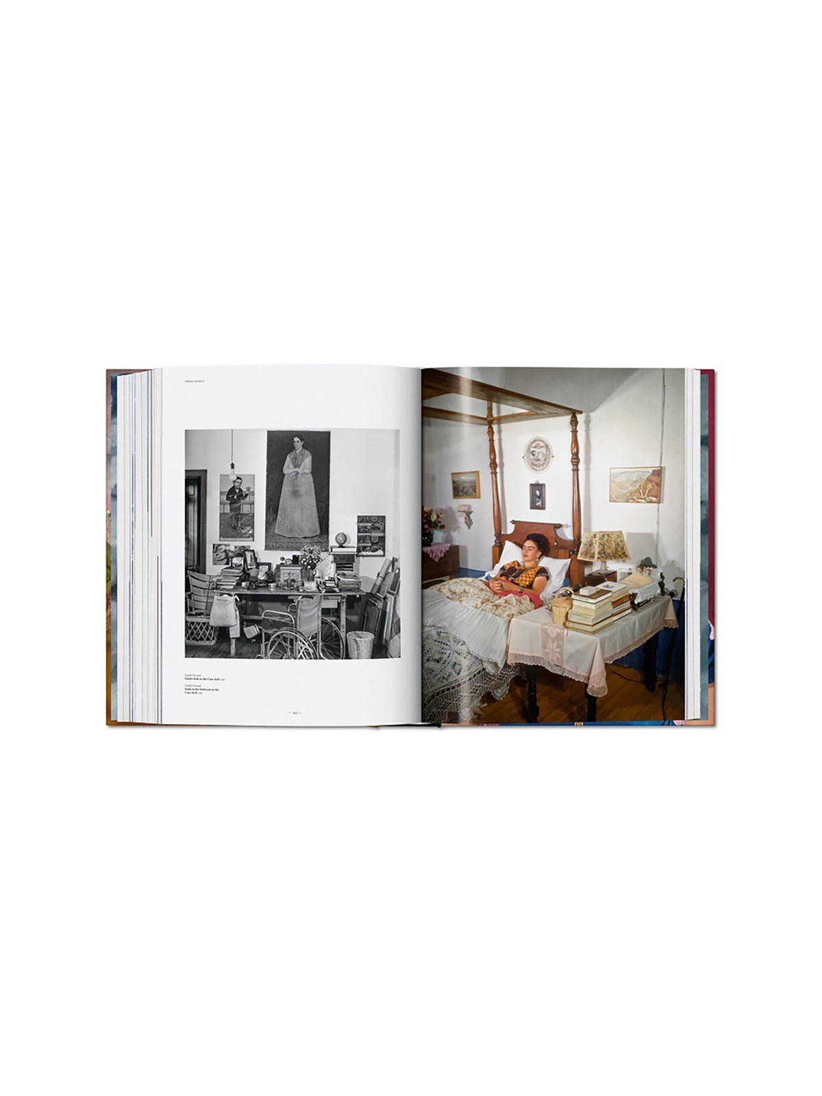 'Frida Kahlo. The Complete Paintings - Xl' Book