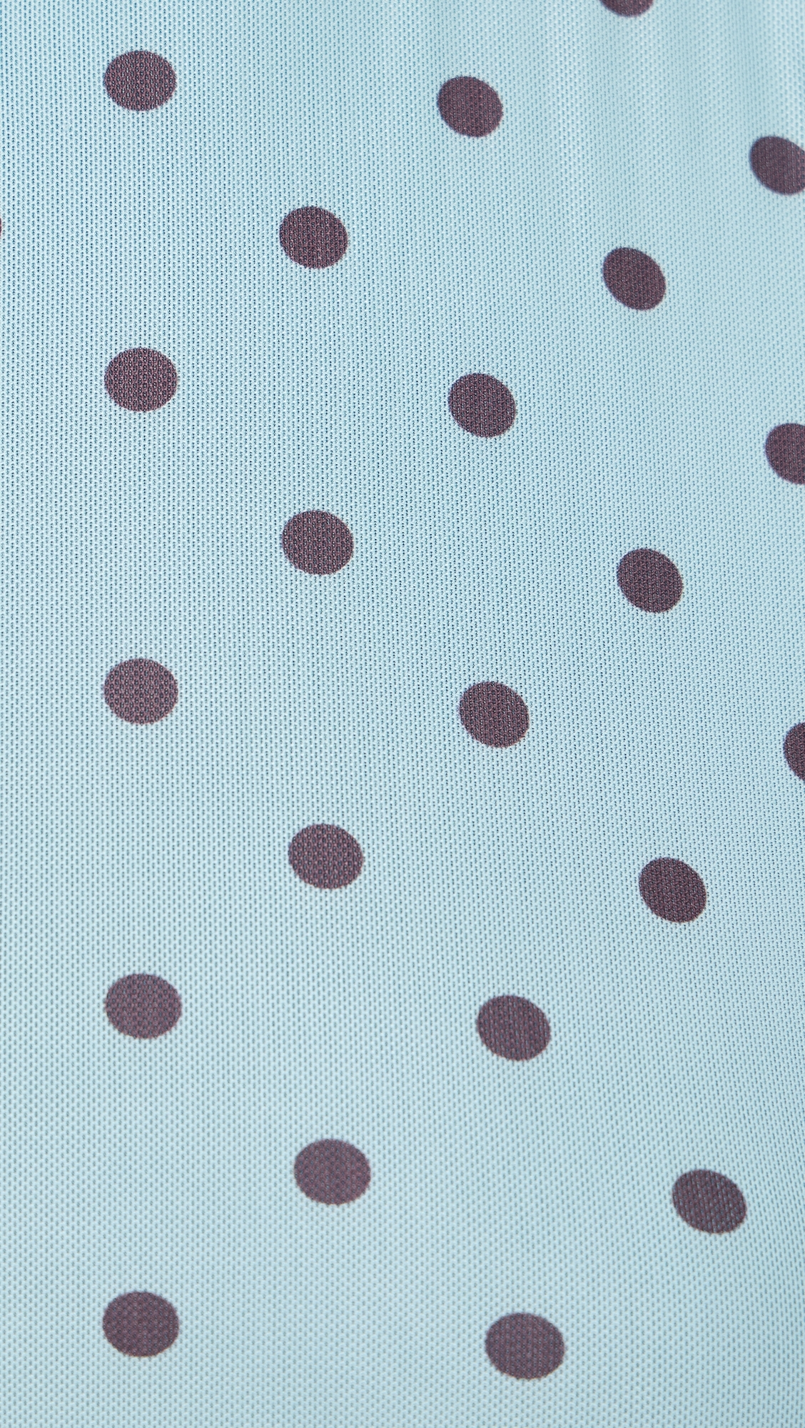 Polka Dot Mesh High Neck Top Blue/Brown