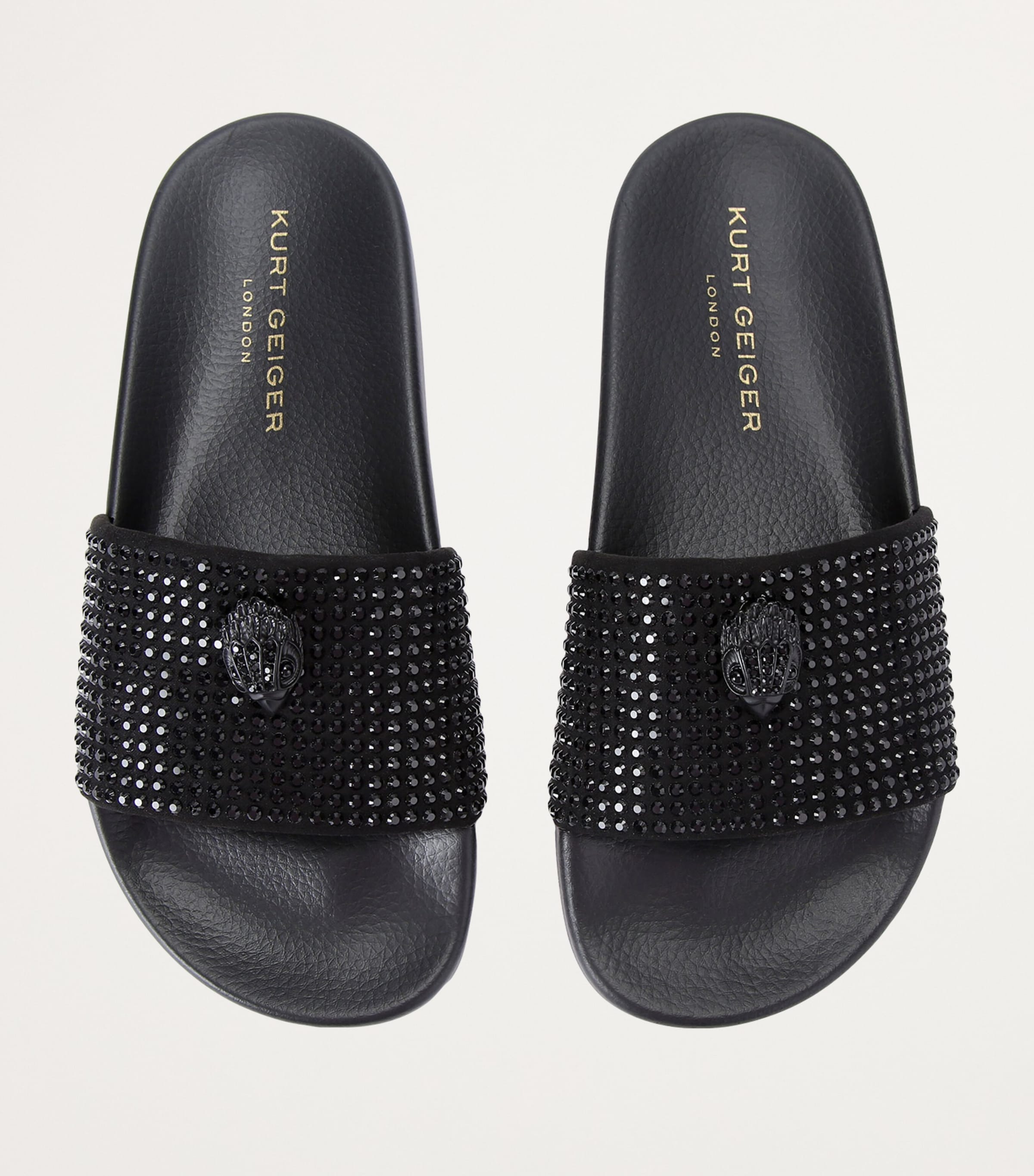 Meena Eagle Slides
