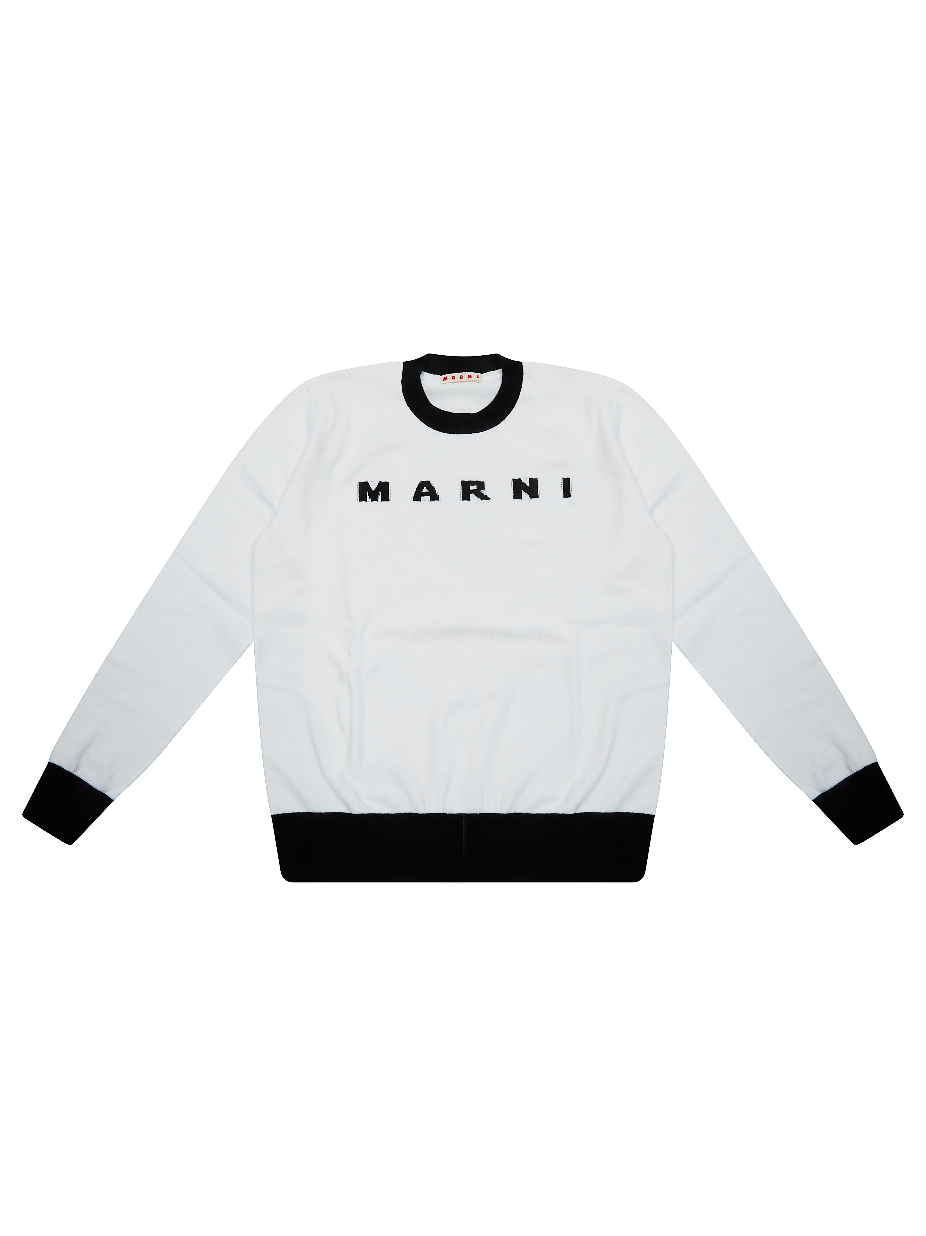 Mini Graphic Crew Neck Sweater