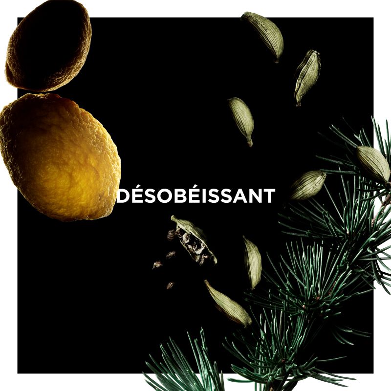 GIVENCHY - Désobéissant - Eau De Parfum Citrus, Woody, Spicy 50 ml - Fragrance