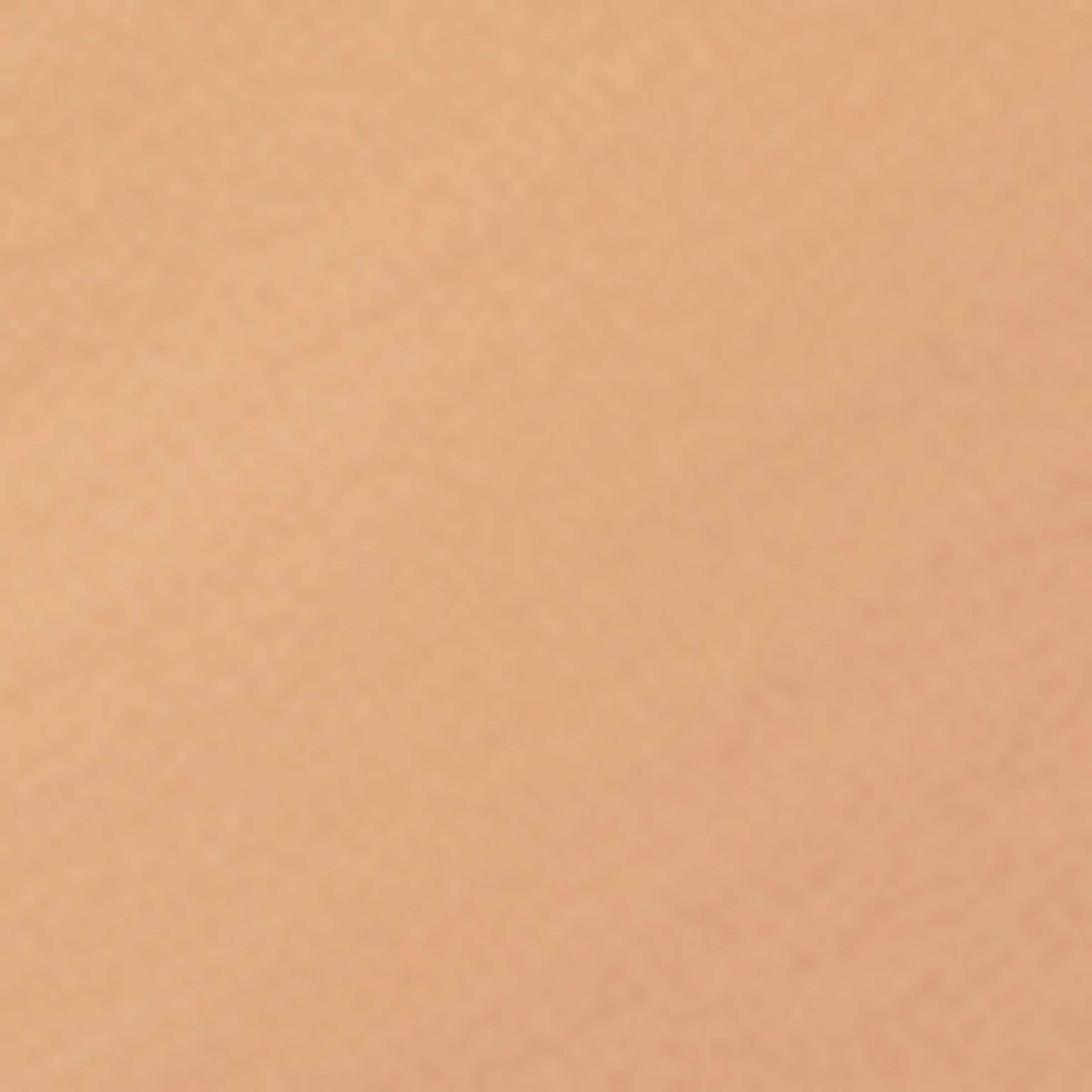 샹테카이 여성 Future Skin Cushion Skincare Foundation 000000000006702937