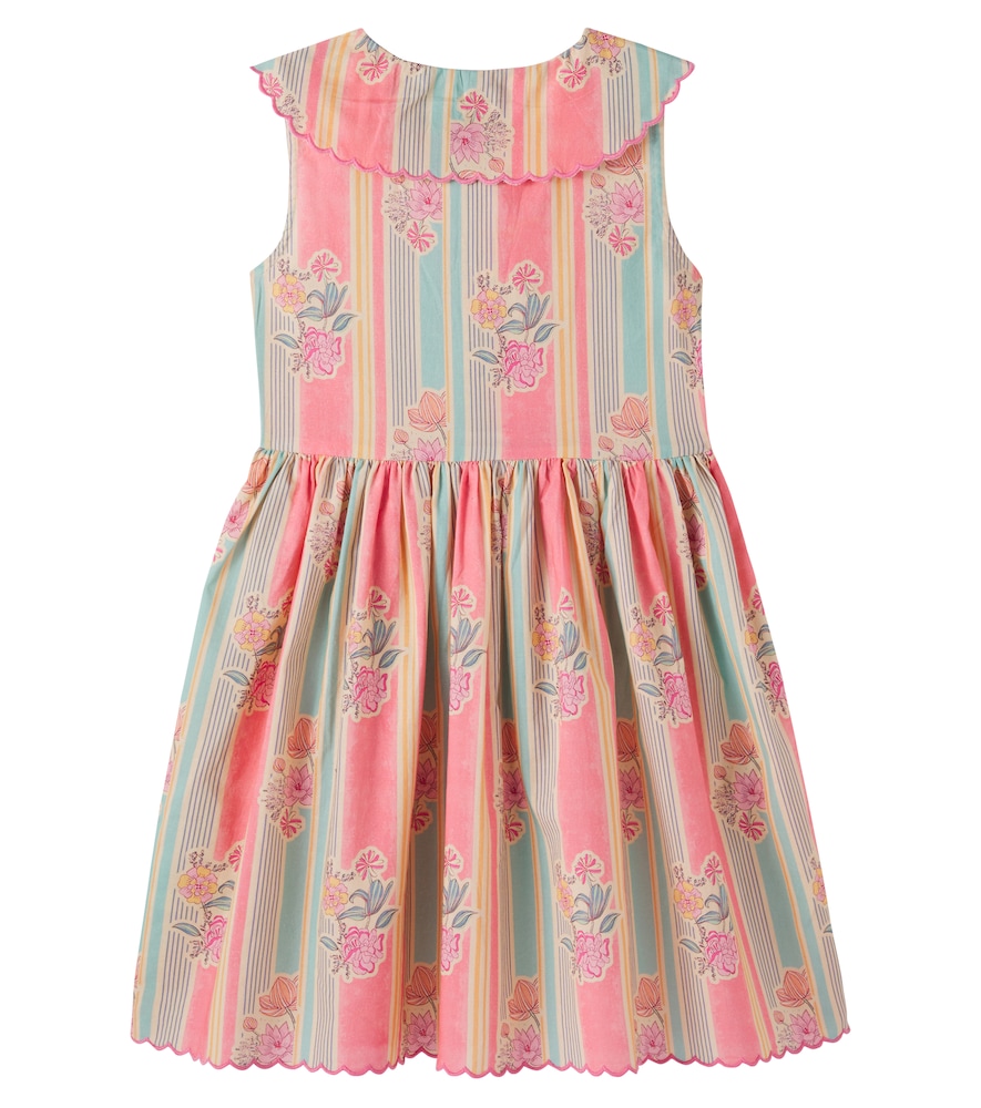 Florence printed cotton dress