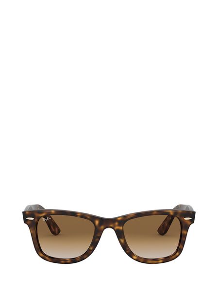 Ray-Ban Wayfarer Ease Sunglasses